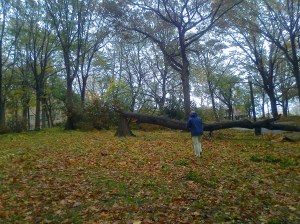 Photo0147