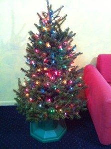 photo (1)